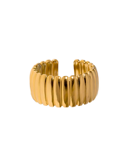 ANILLO PANTIN GOLD
