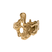 ANILLO FRANCIA GOLD