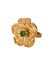 ANILLO RAQUEL
