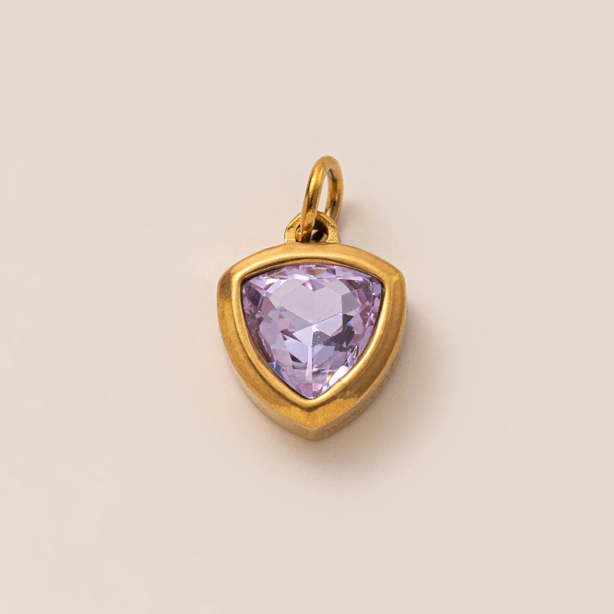 DIJE ESCUDO VIOLETA