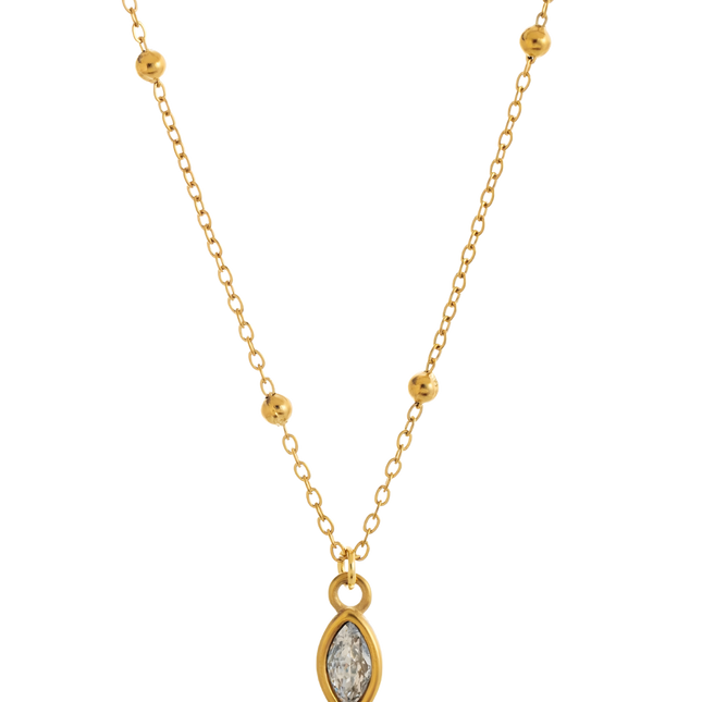 COLLAR POTTER CLASSIC