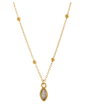 COLLAR POTTER CLASSIC